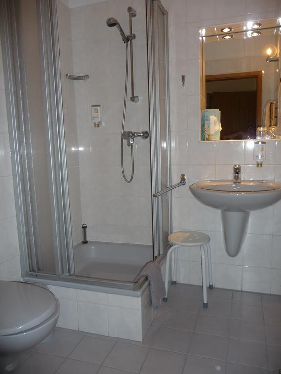 Hotel Brueckenschaenke Зебніц Номер фото